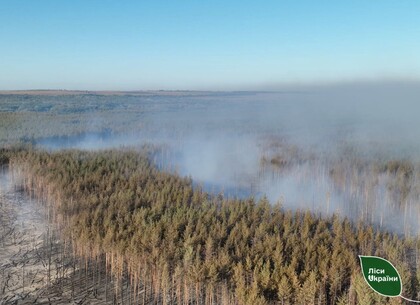 На Харківщині локалізували масштабну лісову пожежу: вогонь охопив понад 25 гектарів