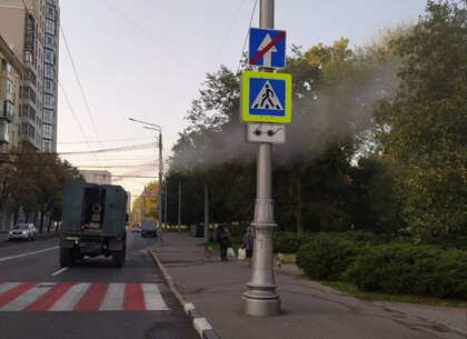 У Харкові відбудеться обробка дерев та кущів від шкідників