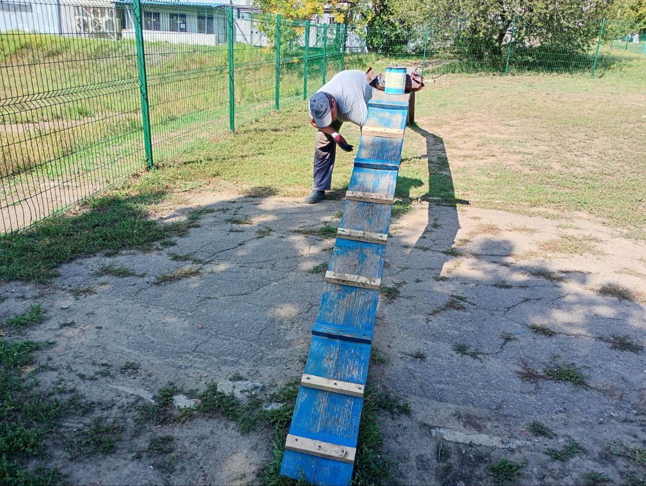 Відремонтували низку майданчиків для вигулу та дресирування собак комунальники: Новини Харкова
