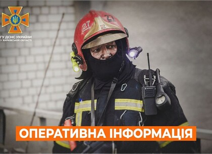 Вогнеборці гасять 5 лісових пожеж на Харківщині