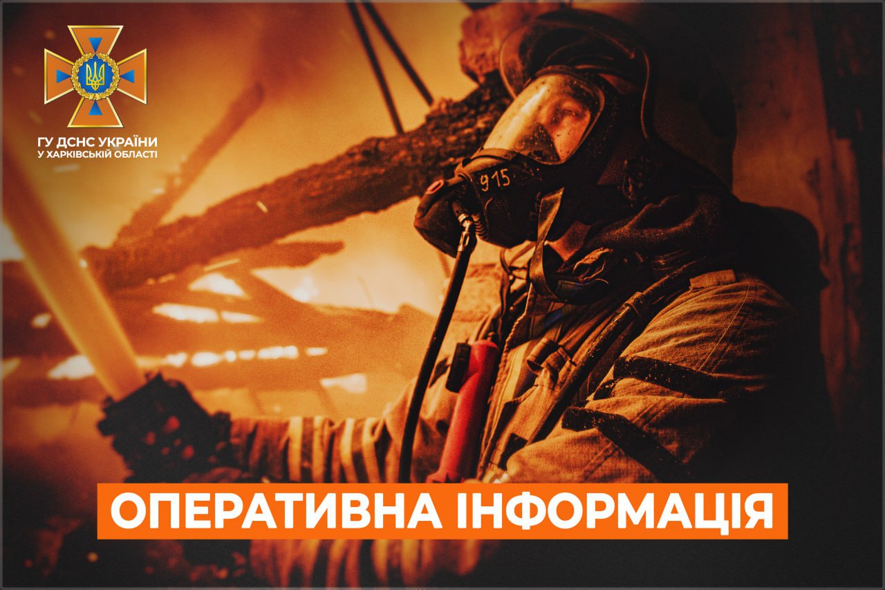 рятувальники ДСНС