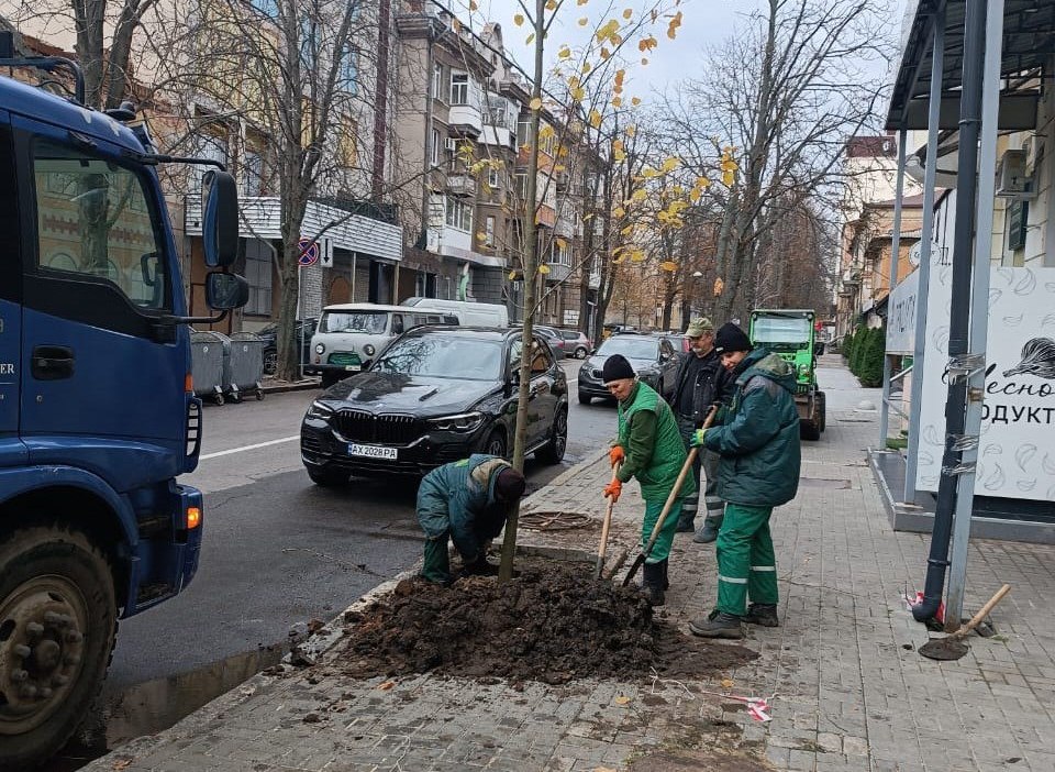 Посадять десятки дерев у центрі міста містяни та комунальники: Новини Харкова