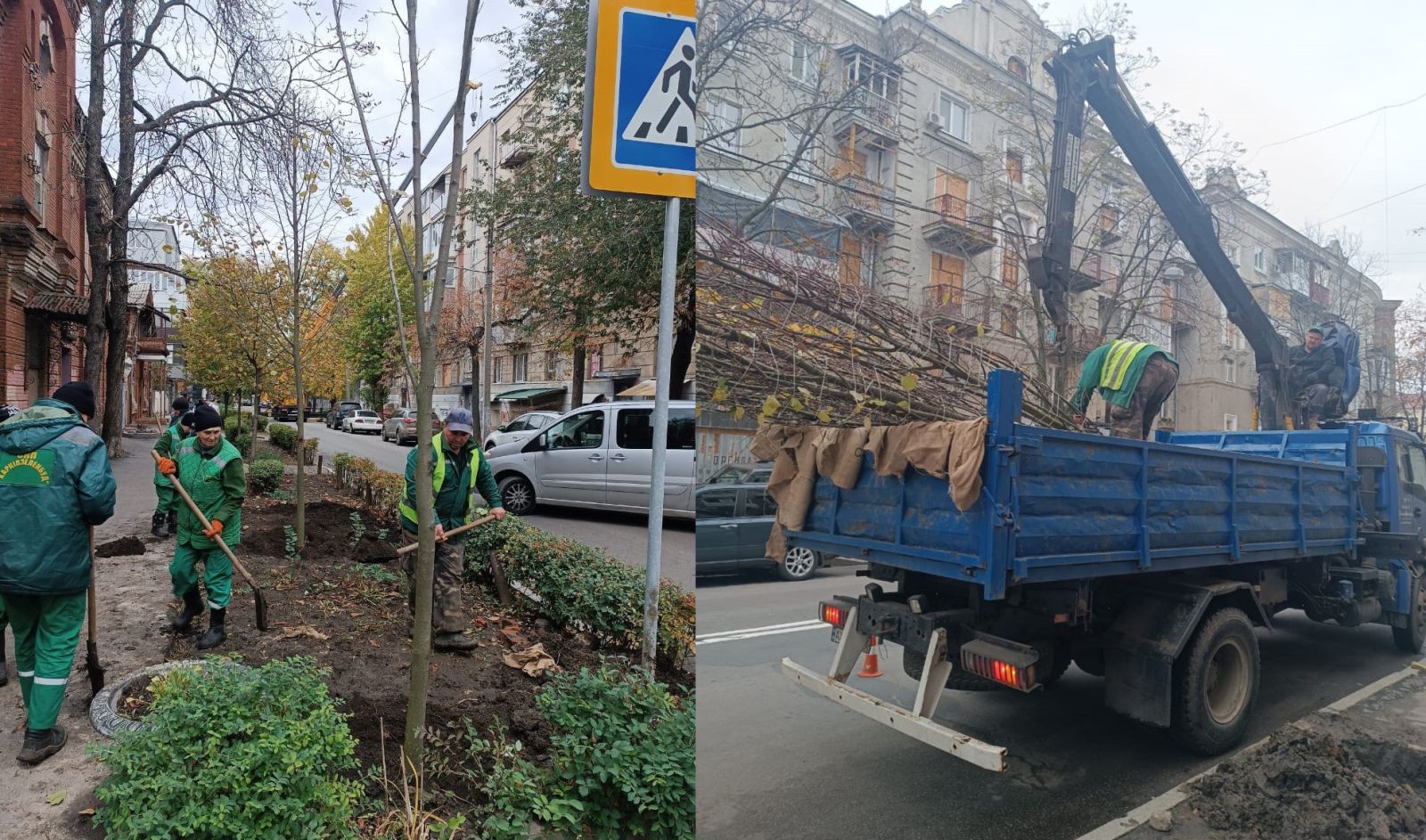 Посадять десятки дерев у центрі міста містяни та комунальники: Новини Харкова