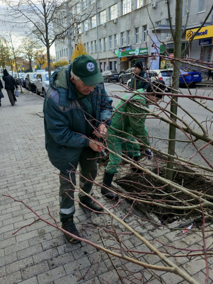 Висаджують дерева на вулицях у центрі міста: Новини Харкова