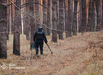 Рятувальники закликають мешканців Харківської області утриматися від збирання грибів