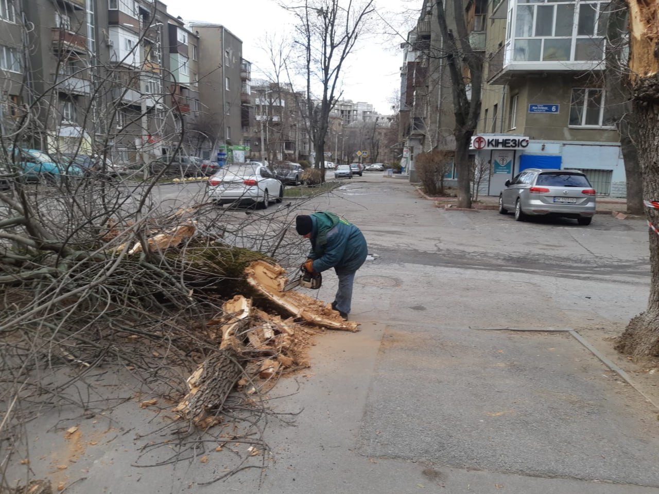 Ліквідують наслідки нічного буревію комунальники: Новини Харкова