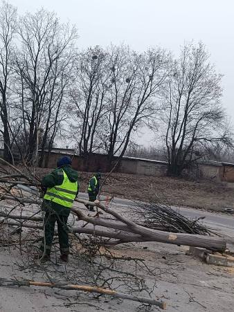 «Харківзеленбуд» усуває наслідки буревію в місті