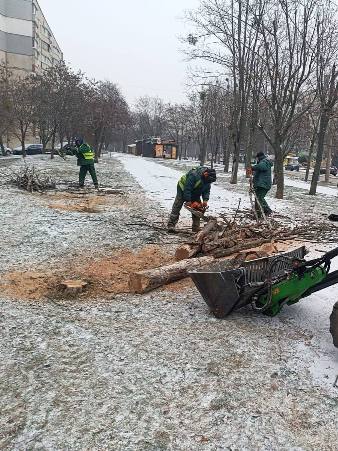 «Харківзеленбуд» усуває наслідки буревію в місті