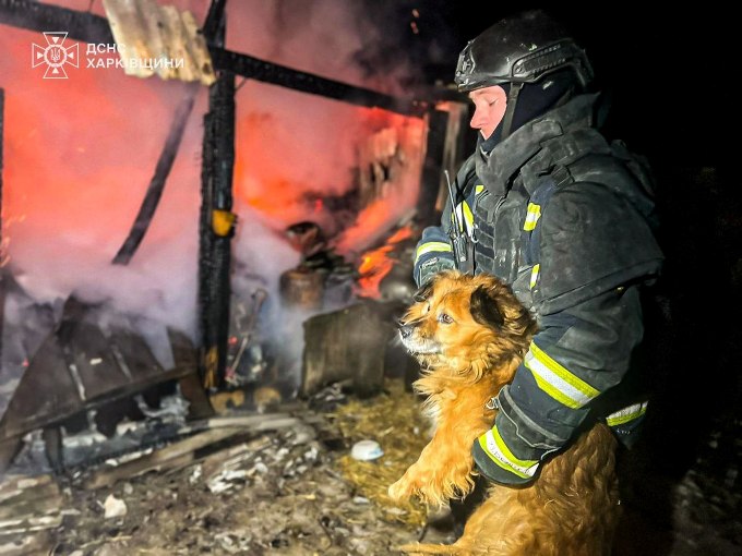 Новини Харкова: песика врятували під час пожежі