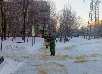 Комунальники наводять лад та роблять комфортнішими зелені зони Харкова