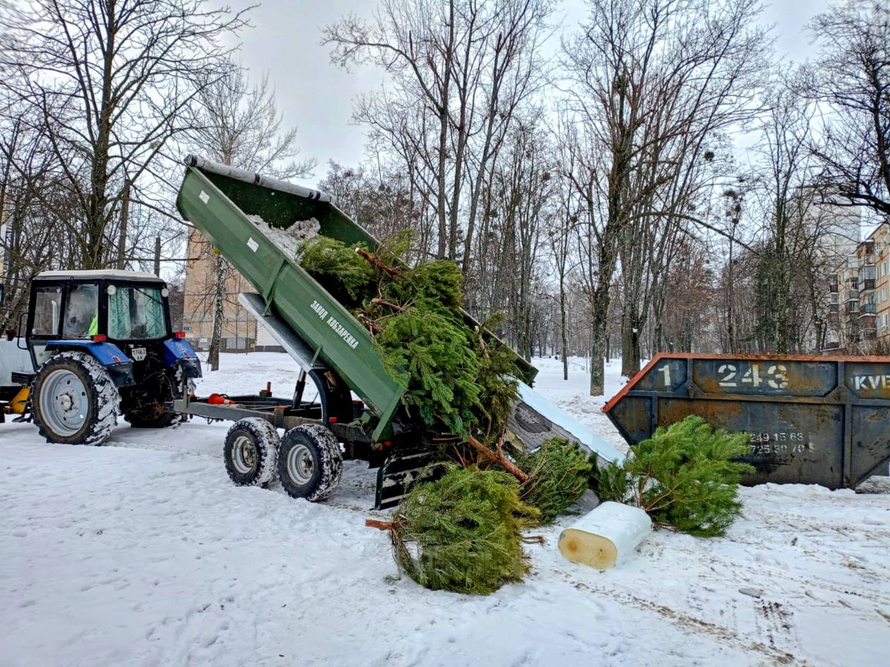 КП «Шляхрембуд» вивіз 800 куб. м ялинок після свят