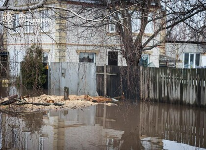 Танення снігів викликало підтоплення на Харківщині (фото)