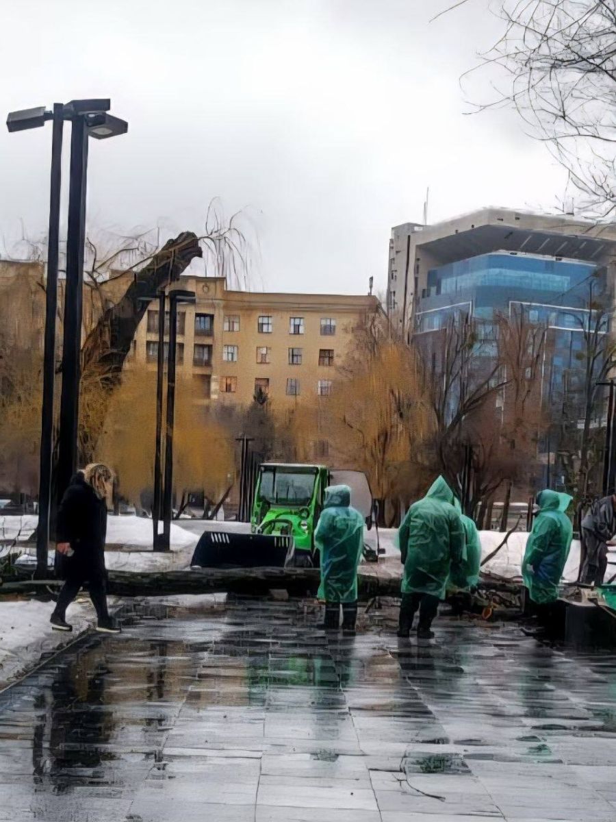 Новини Харкова: дерево впало біля Держпрому