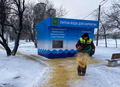 Харків бореться з негодою: комунальники вивезли понад 8 тисяч кубів снігу та льоду за тиждень
