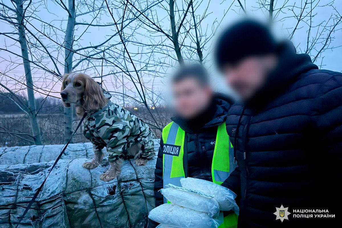 Знайшов психотропів на 100 тисяч доларів службовий пес поліції: Новини Харкова