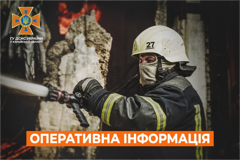 дснс