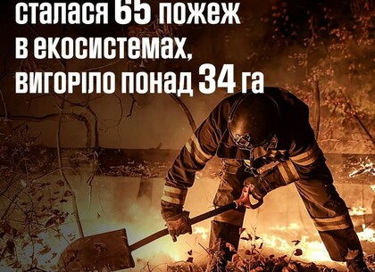 Пожежі в екосистемах охопили 35 гектарів Харківщини