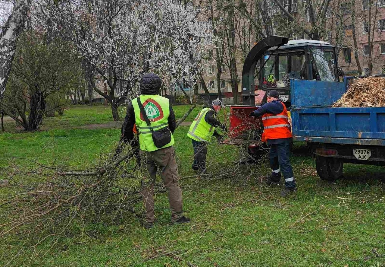 Впали та поламані десятки дерев через буревій у місті: Новини Харкова