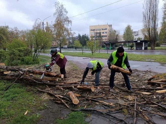 Новини Харкова: буревій повалив дерева місто