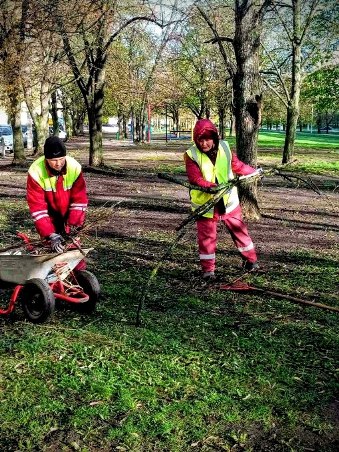 Новини Харкова: ліквідація наслідків сильного вітру