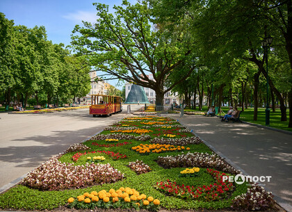 Чим живе Харків: головне за тиждень