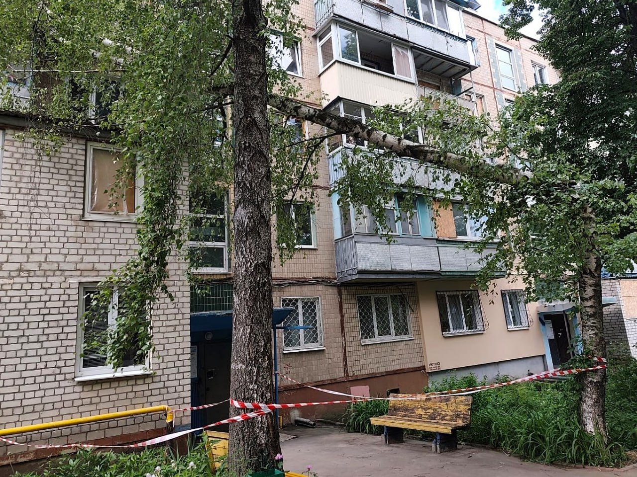 Новини Харкова: прибирають наслідки сильного вітру