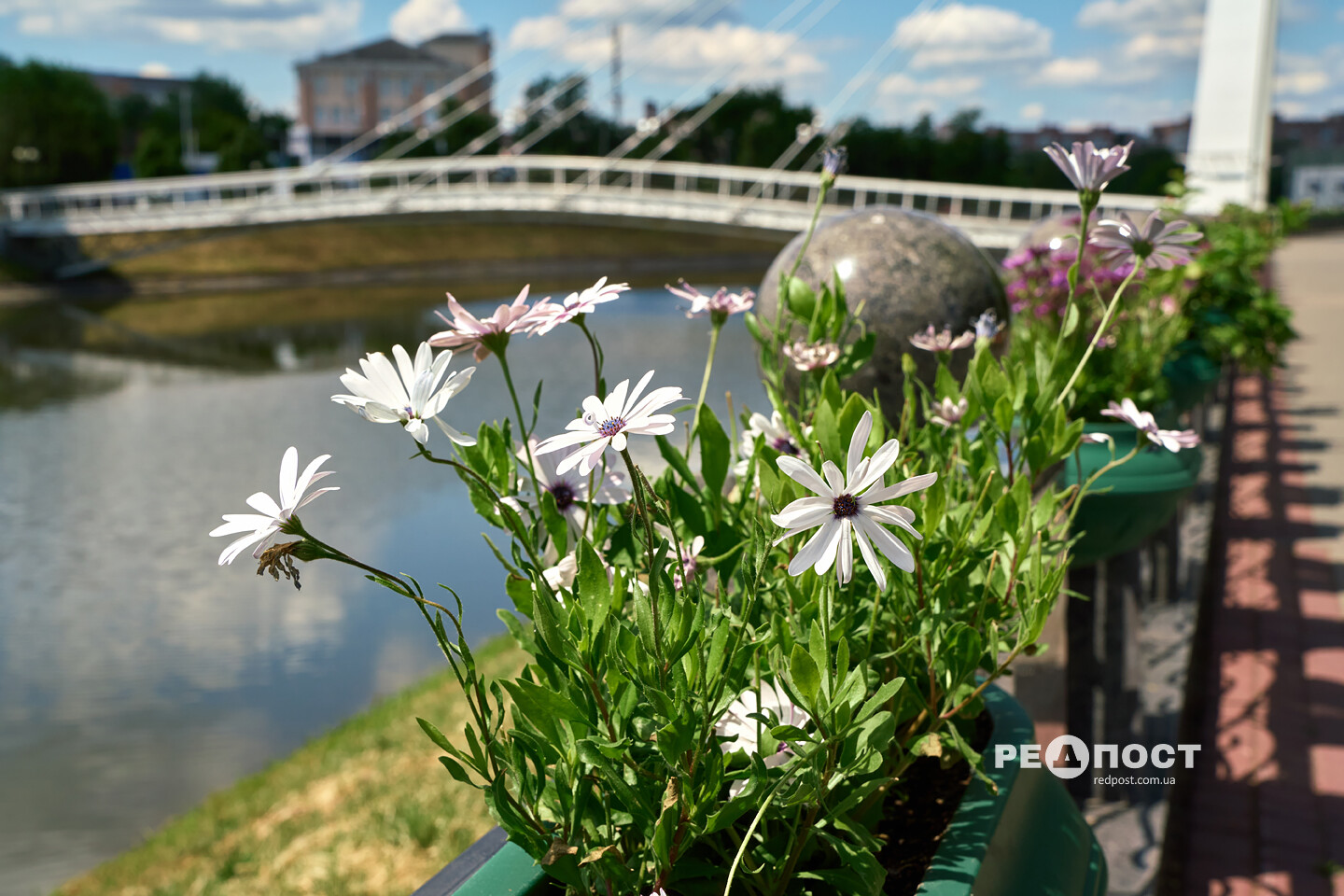 Харків, Стрілка, квіти