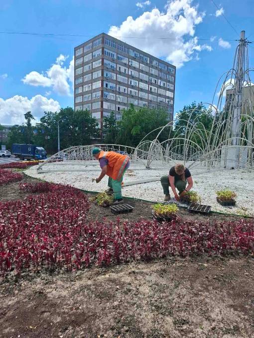 Новини Харкова: на набережній висаджують 30 тисяч квітів