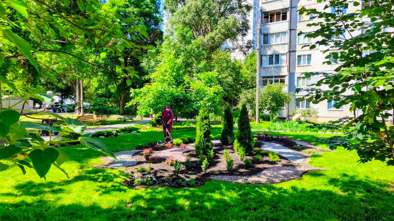 Новини Харкова: створюють нові зелені зони