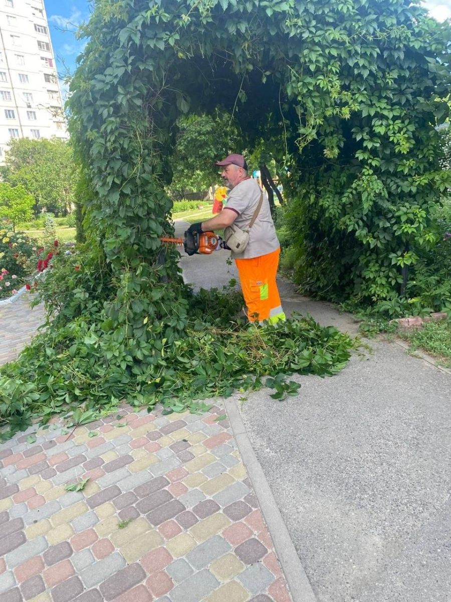 Новини Харкова: створюють нові зелені зони