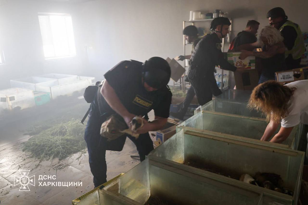 Загинули кілька тварин через улар по харківському зоопарку окупантів: Новини Харкова