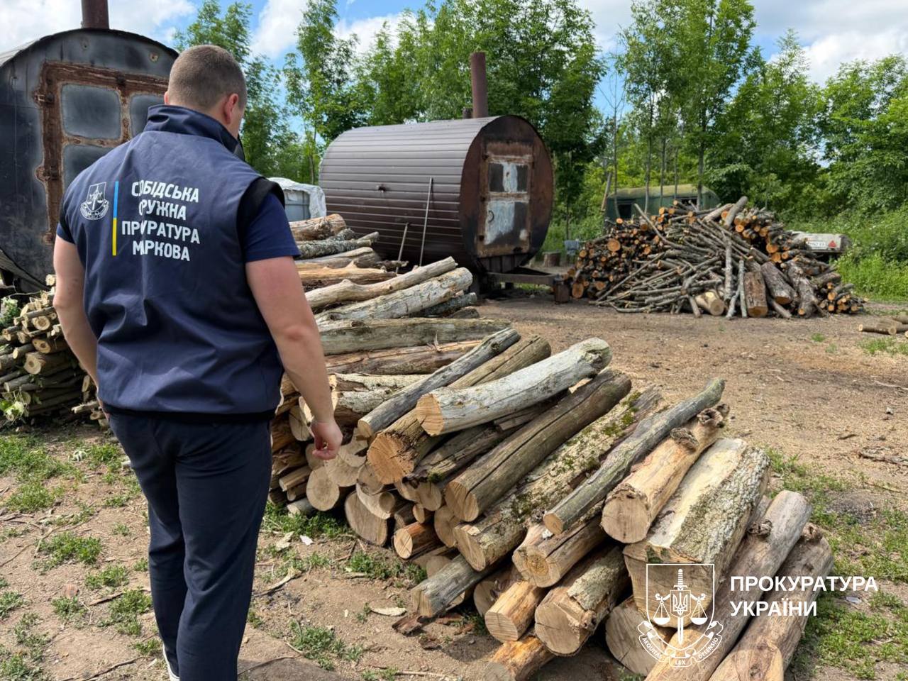 Вирубали державний ліс на сотні тисяч гривень двоє викритих ділків: Новини Харкова