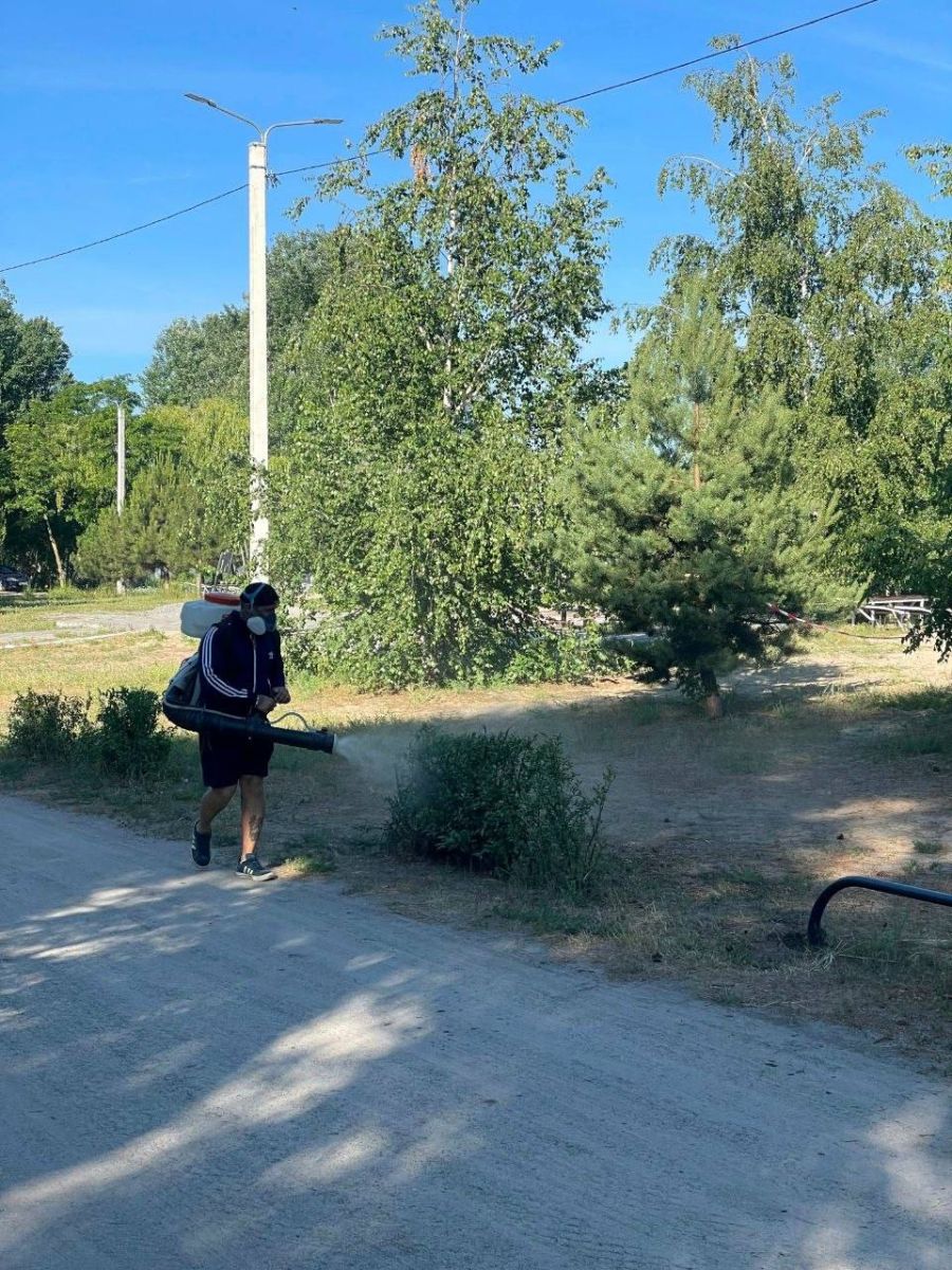 Новини Харкова: обробили зелені зони від кліщів