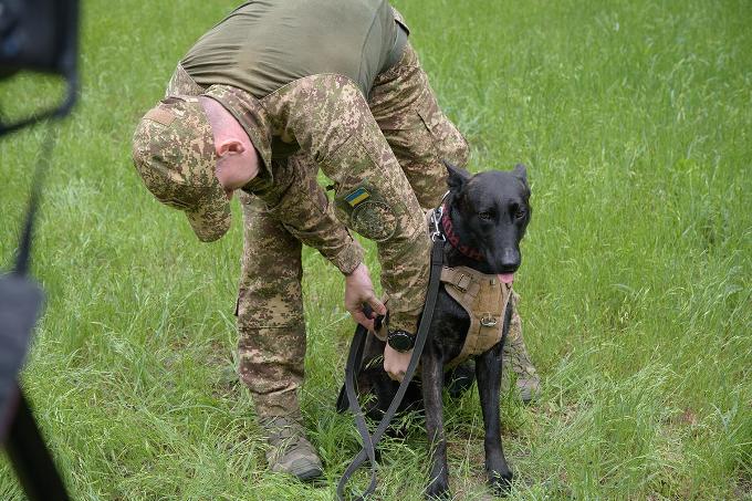 Гвардійські кінологи «Скіфів» удосконалюють підготовку службових собак