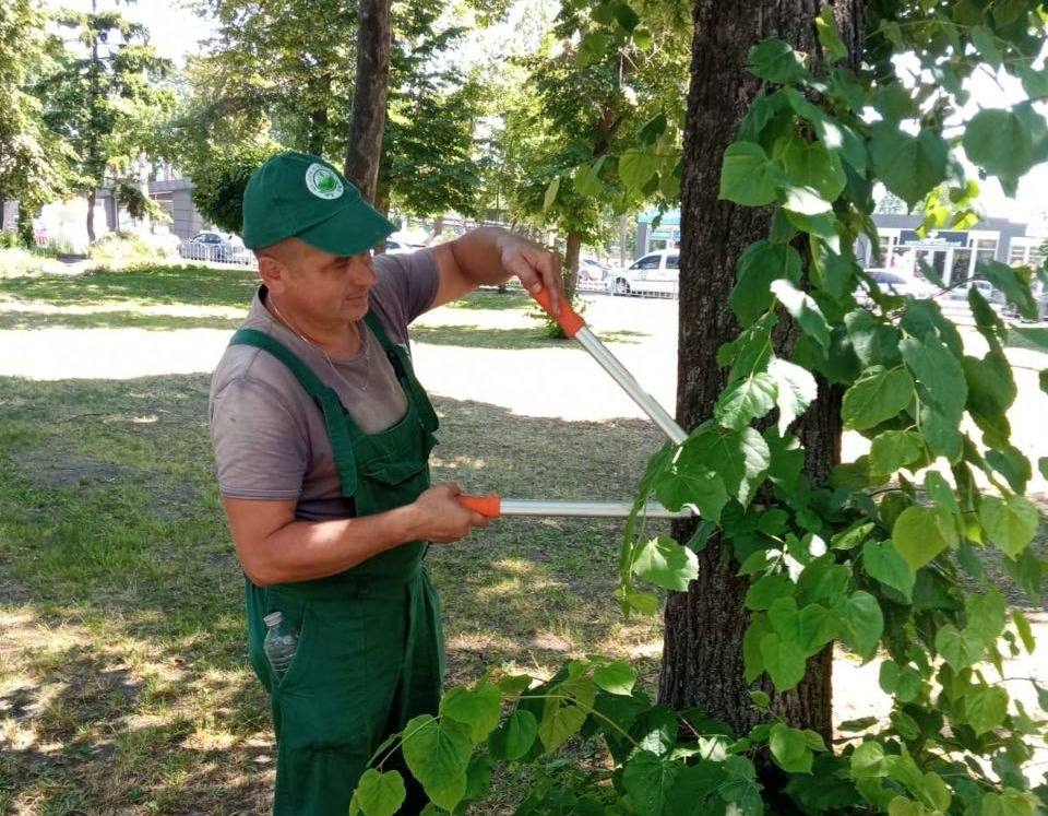 Скосили десятки гектарів газонів у парках та скверах комунальники: Новини Харкова