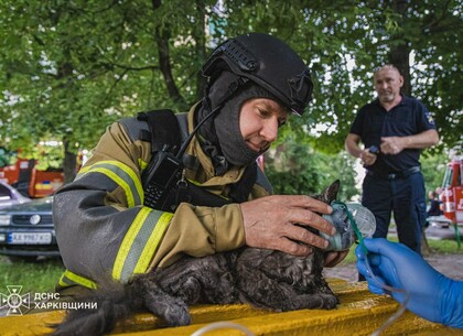 Задимлена квартира, троє постраждалих і врятований кіт: подробиці ранкової пожежі в Харкові