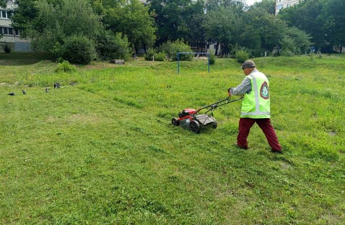 Новини Харкова: комунальники висадили 3 тисячі квітів