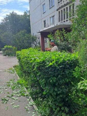 Новини Харкова: комунальники висадили 3 тисячі квітів