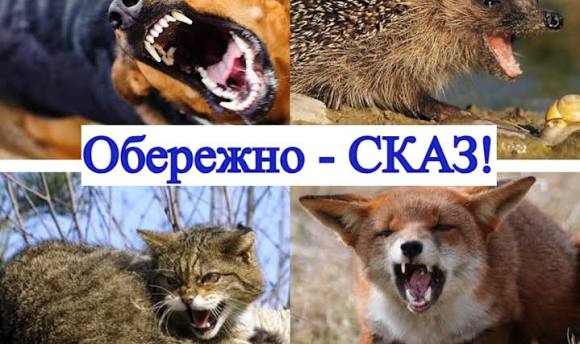 Тайтл: Новини Харкова: понад 2 тисячі людей постраждали