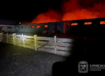 11 населених пунктів Харківщини зазнали обстрілів рф: загинула жінка, поранений хлопчик