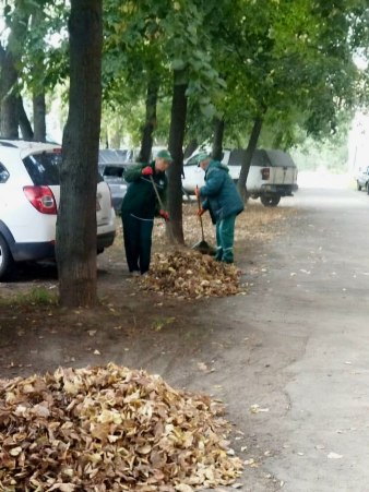 Новини Харкова: комунальники готують зелені зони до осінньої висадки