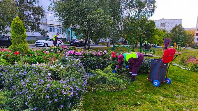 Новини Харкова: комунальники прибрали понад 160 повалених дерев