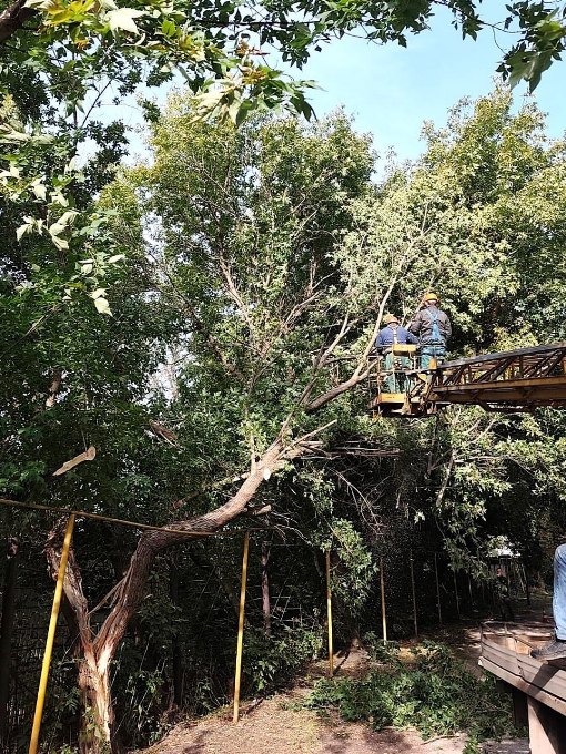 Новини Харкова: ліквідація наслідків негоди