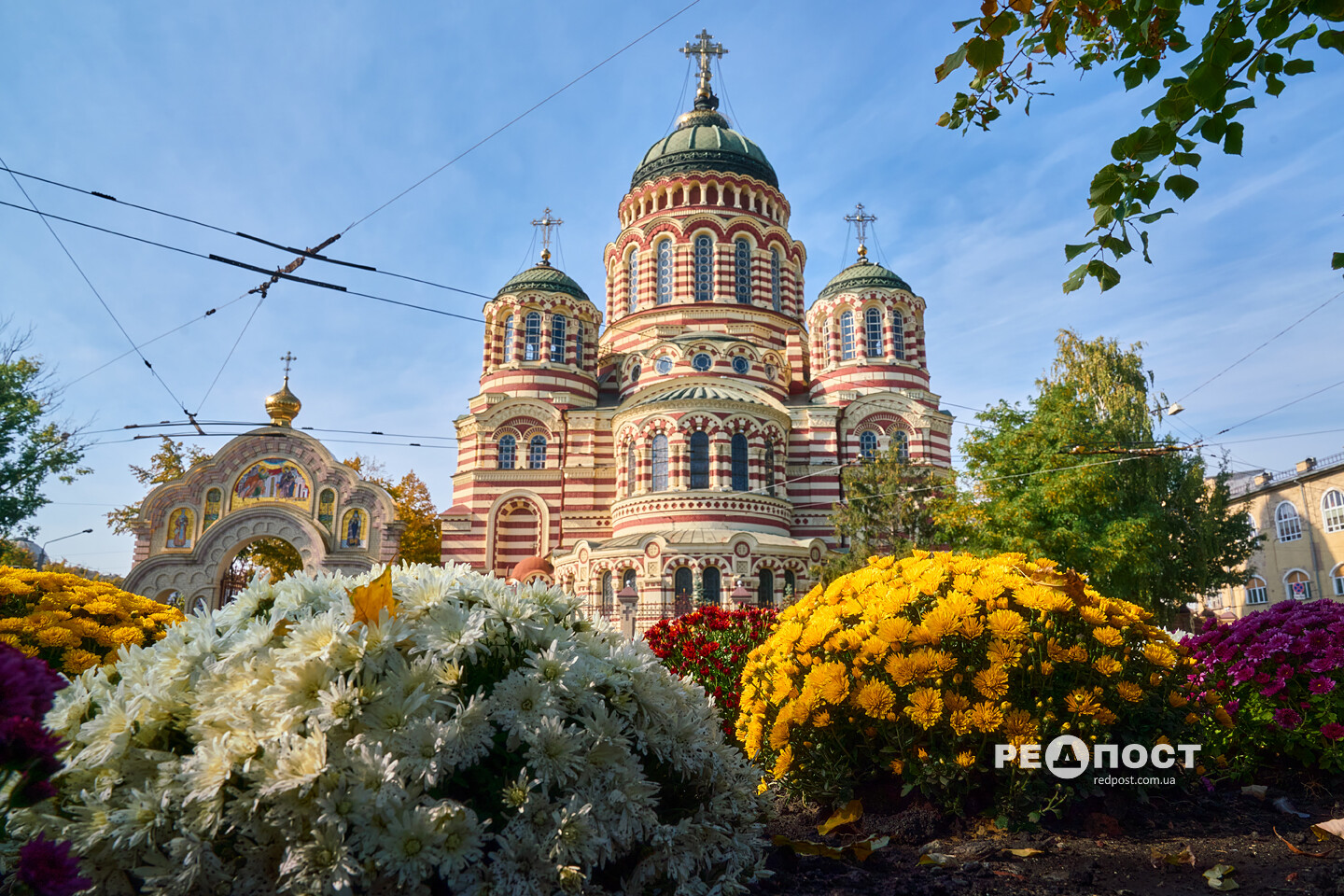Харків, осінь, пейзаж, хризантеми