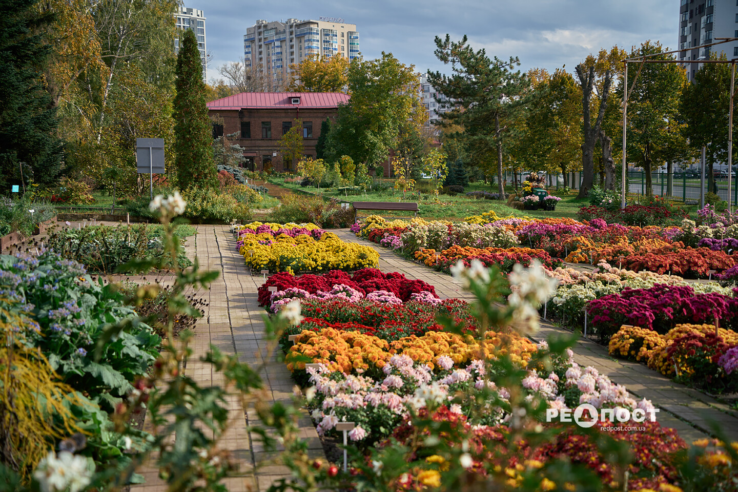 Харків, пейзаж, осінь